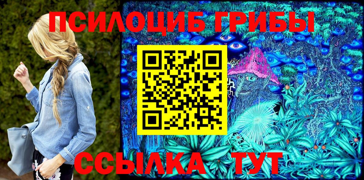 Галлюциногенные грибы Psilocybine cubensis Иркутск